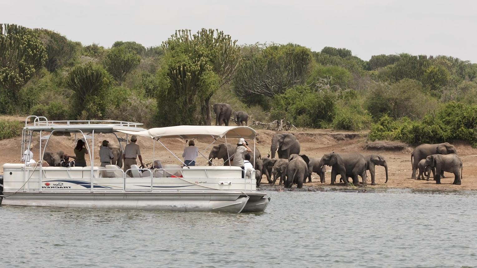 Queen Elizabeth National Park
