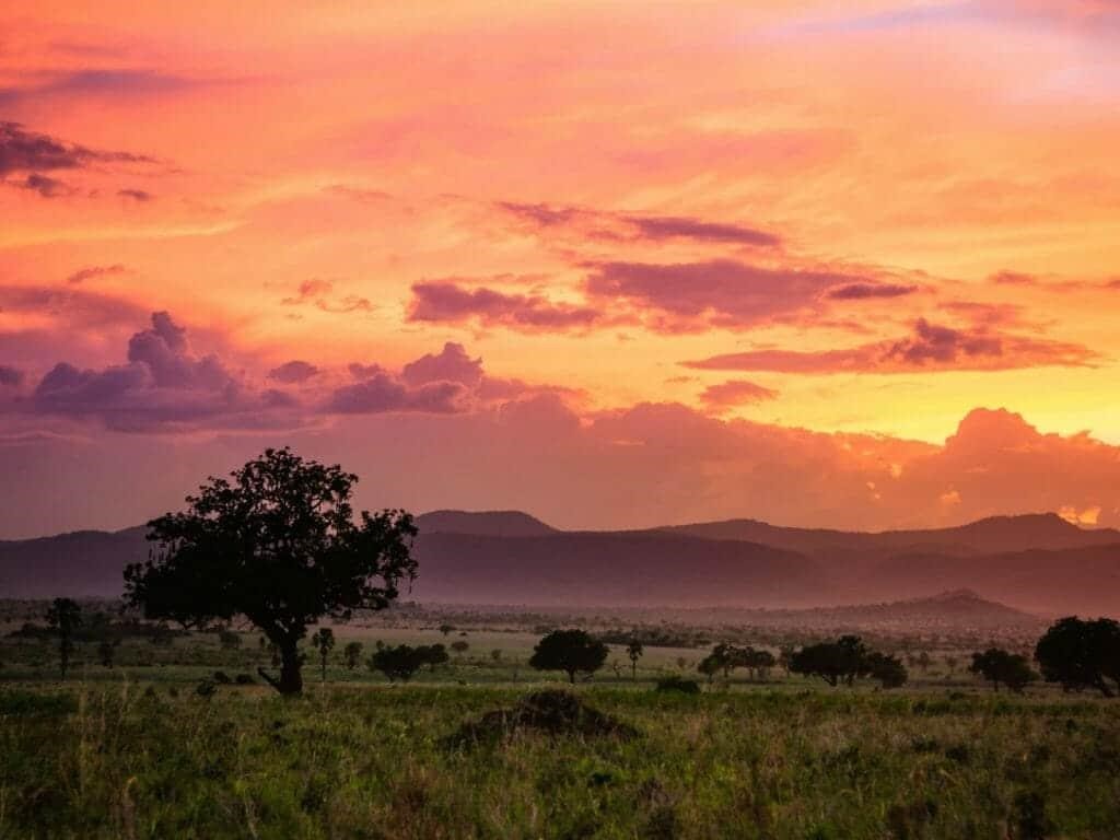 Kidepo Valley Wilderness Safari