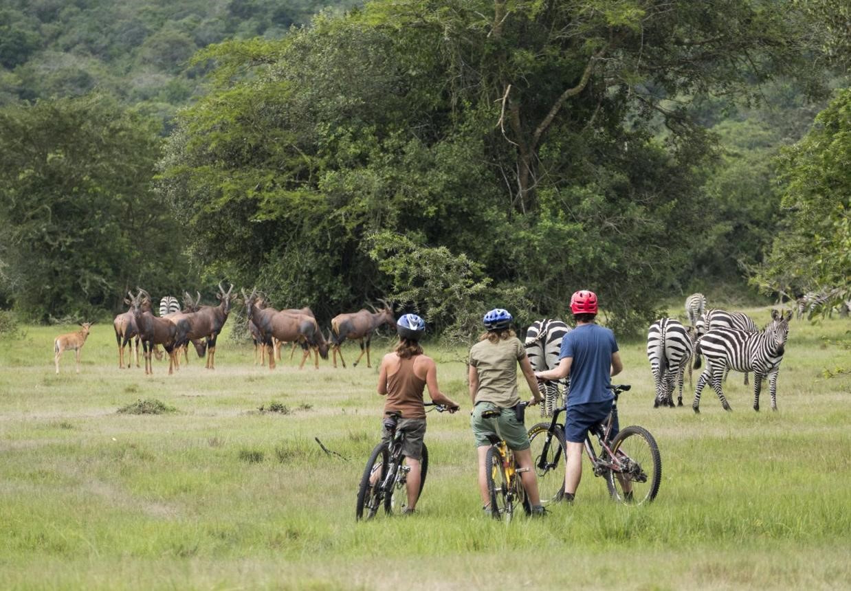 Lake Mburo & Kidepo Frontier Safari