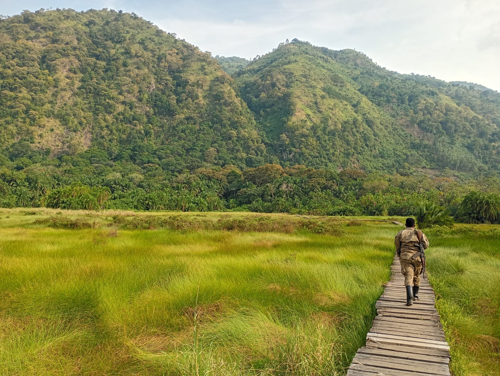 A Birdwatcher's Paradise