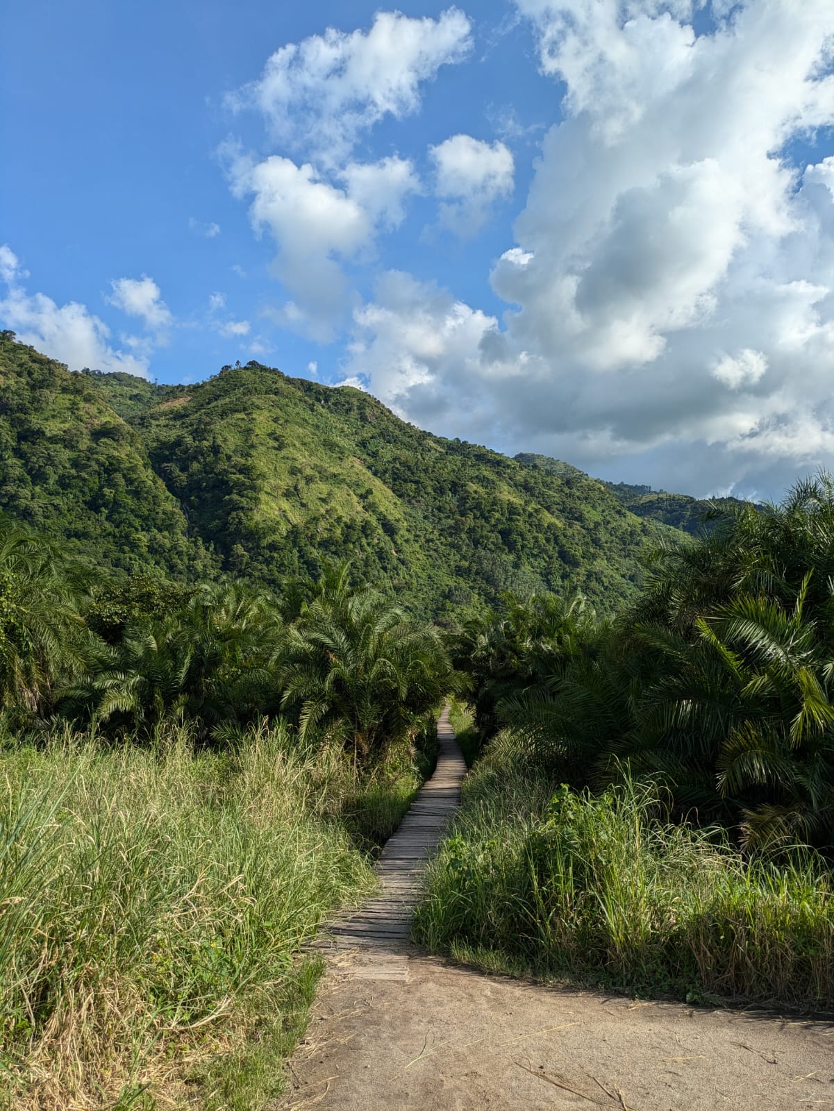 East Africa's Only True Lowland Tropical Rainforest