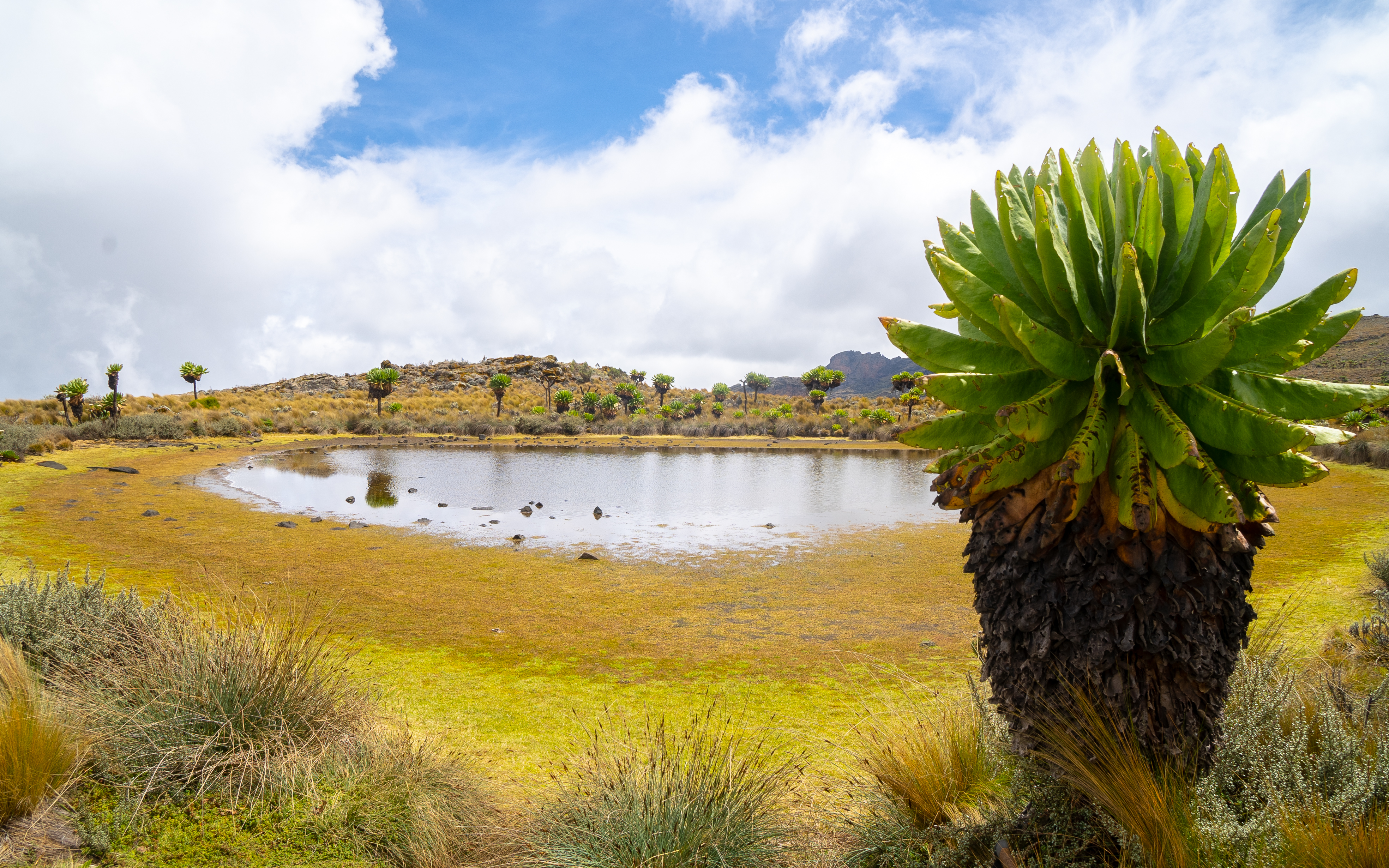 Hiking to Wagagai Peak