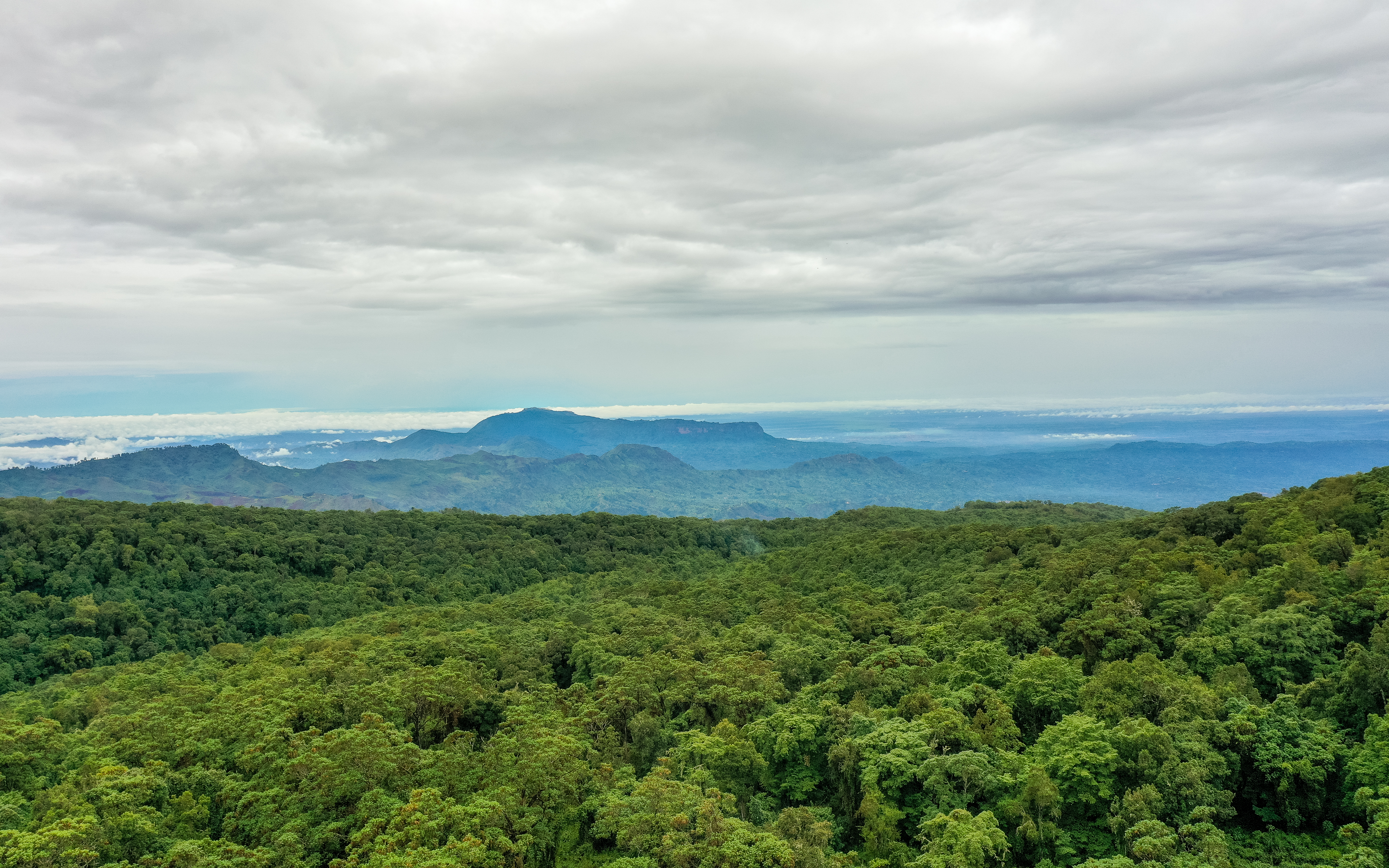 Waterfalls and Scenic Forest Walks
