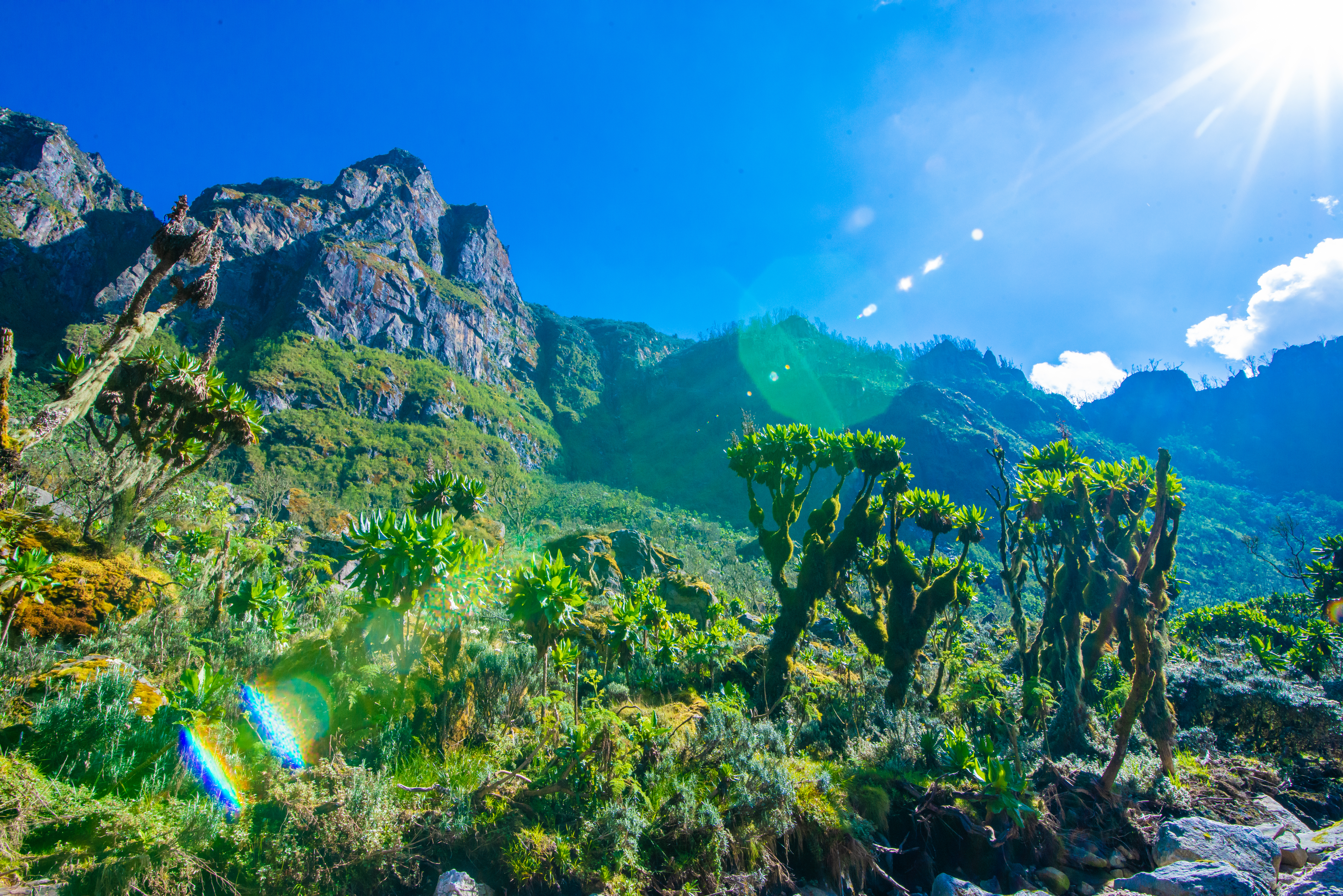Extraordinary Biodiversity Across Five Vegetation Zones